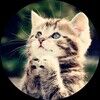 watson_64
